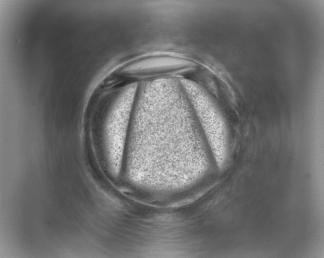 X0000068280344200605121918