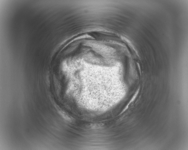 X0000068280345200605121918