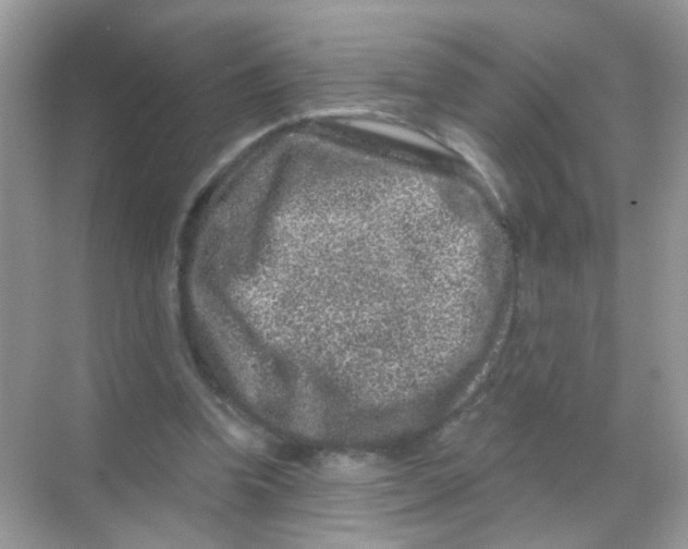 X0000068280346200605121918