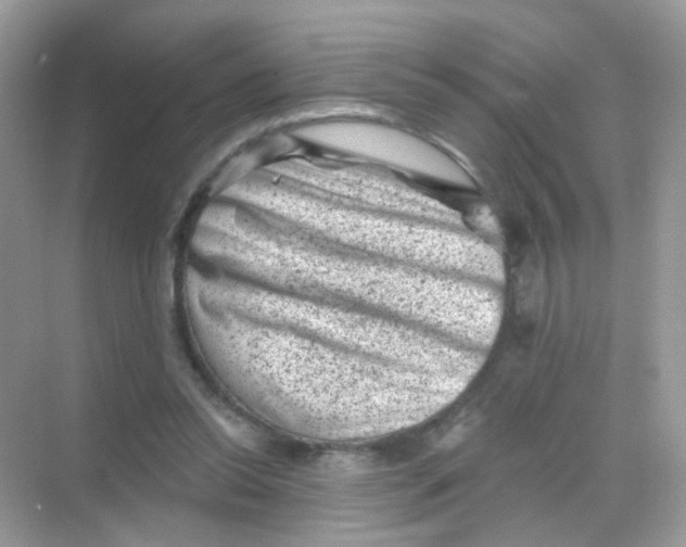 X0000068280350200605121918