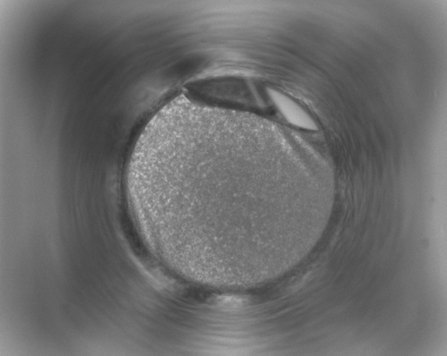 X0000068280352200605121918