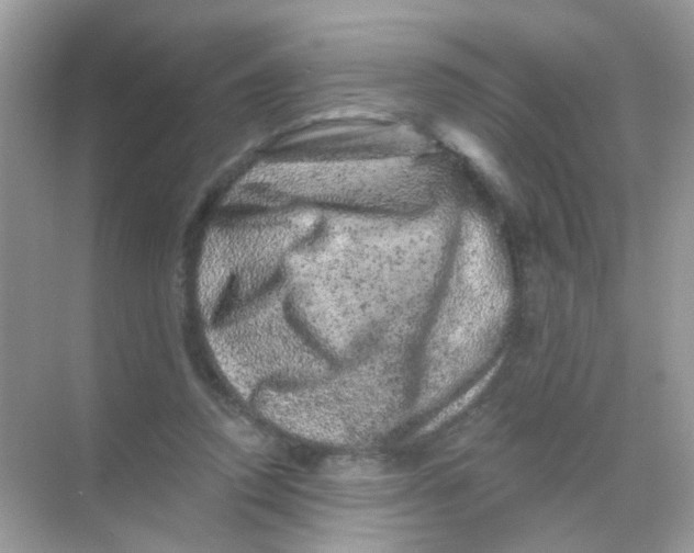 X0000068280354200605121918