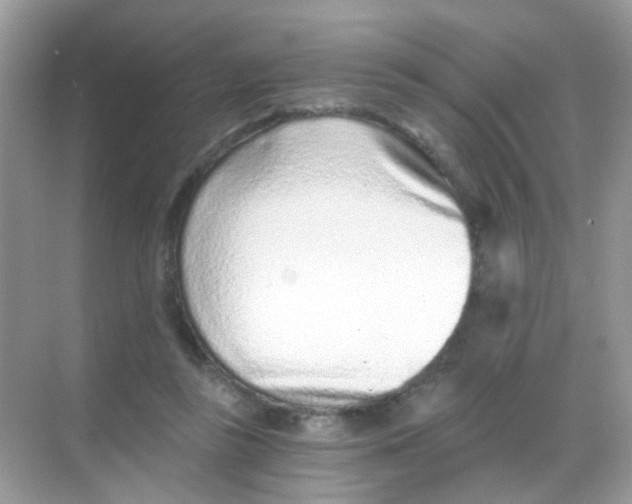 X0000068280355200605121918