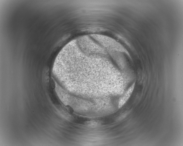 X0000068280356200605121918