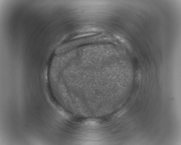 X0000068280358200605121918