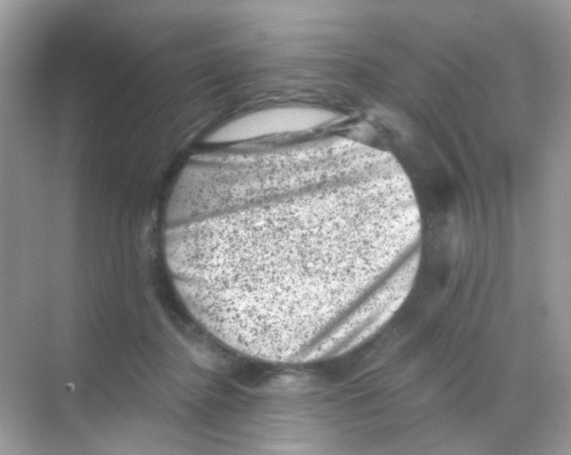 X0000068280364200605121918