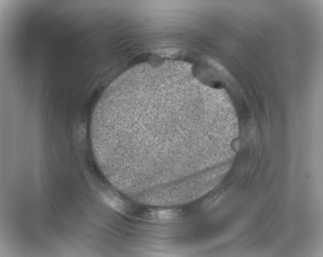 X0000068280365200605121918