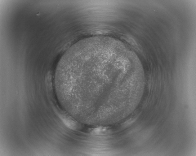 X0000068280366200605121918