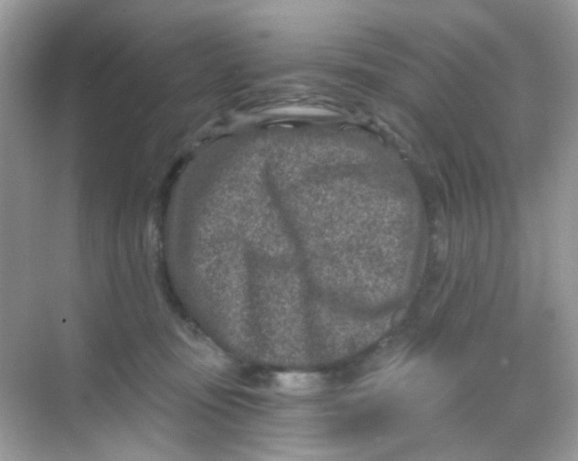 X0000068280371200605121918