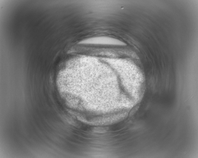 X0000068280373200605121918