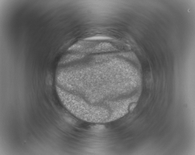 X0000068280374200605121918