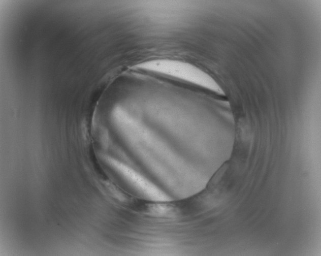 X0000068280380200605121918