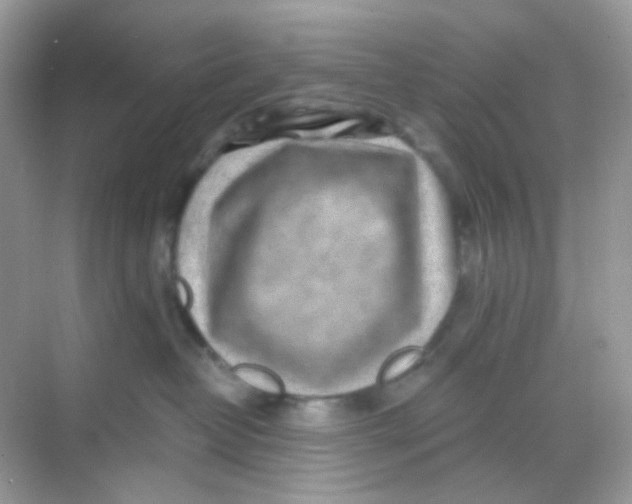 X0000068280382200605121918