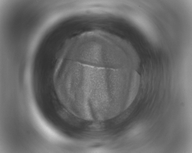 X0000068280383200605121918