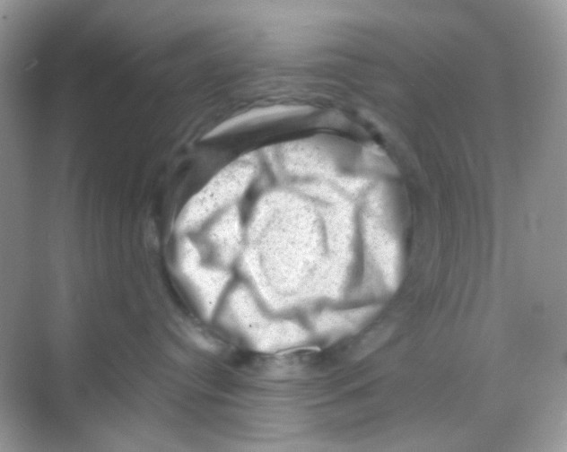 X0000068280384200605121918