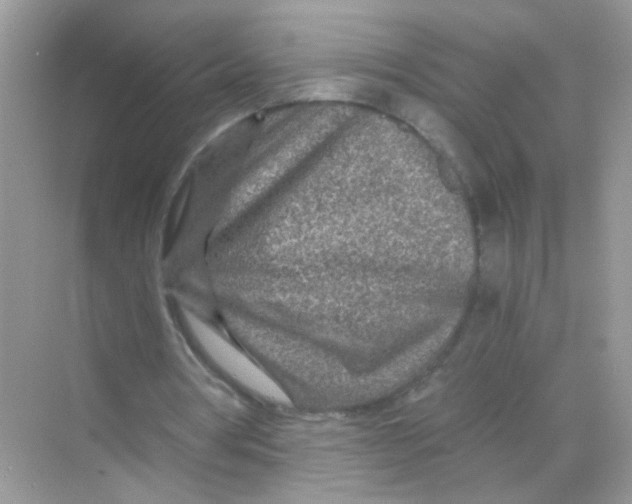 X0000068280386200605121917