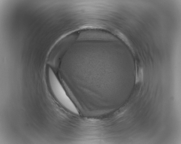 X0000068280387200605121917