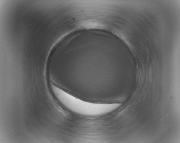 X0000068280391200605121917