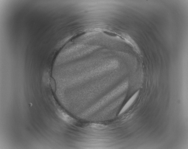 X0000068280393200605121917