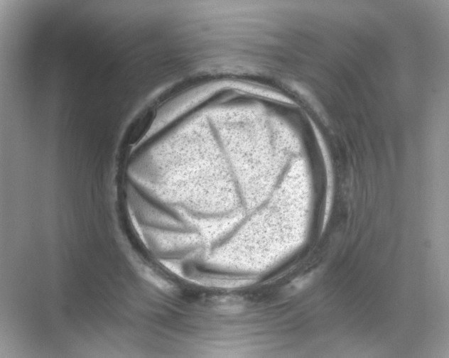 X0000068280395200605121917