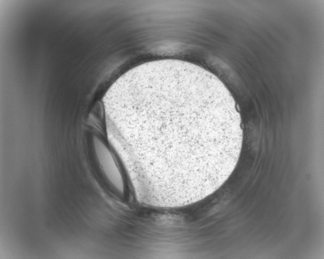 X0000068280400200605121917