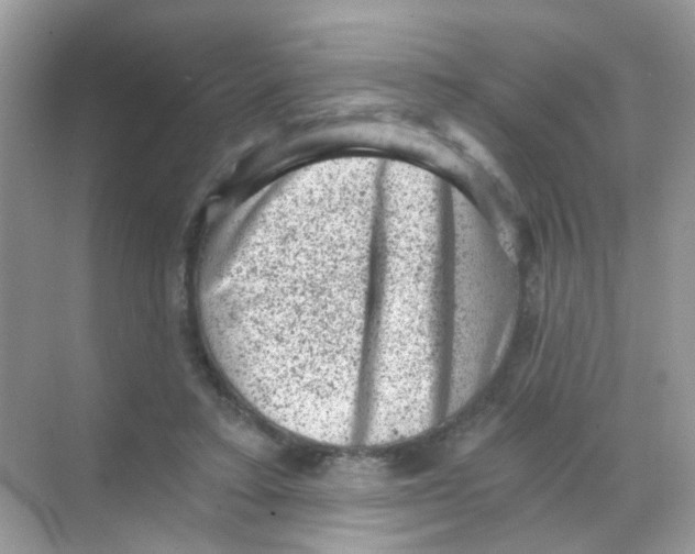 X0000068280403200605121917