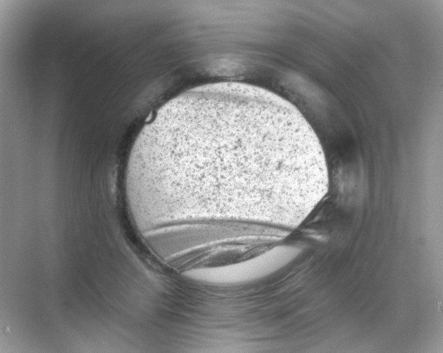 X0000068280404200605121917