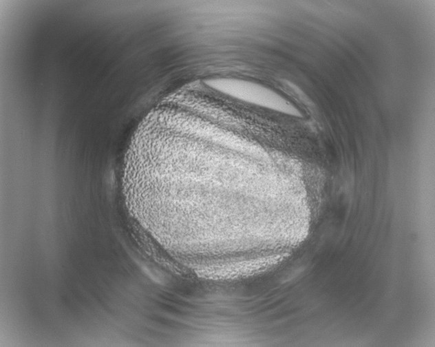 X0000068280405200605121917