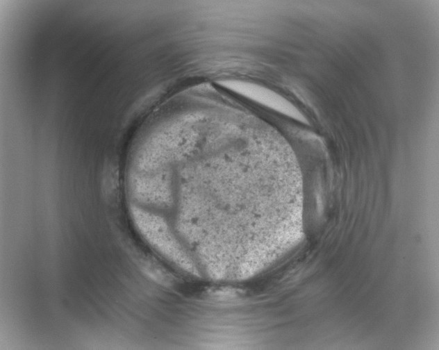 X0000068280407200605121917