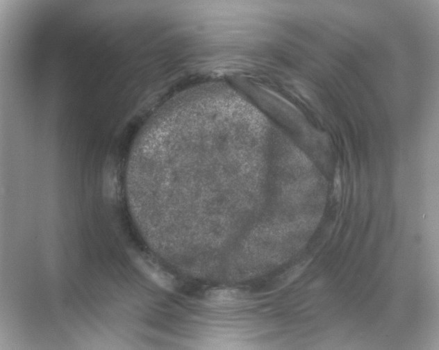 X0000068280408200605121917