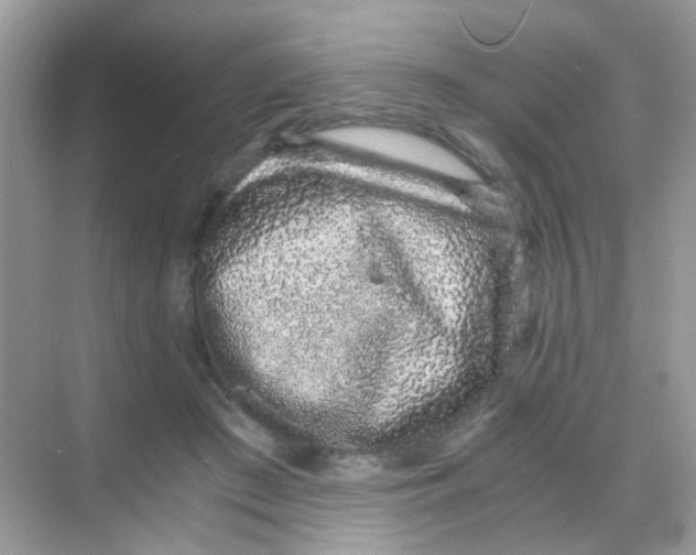 X0000068280409200605121917