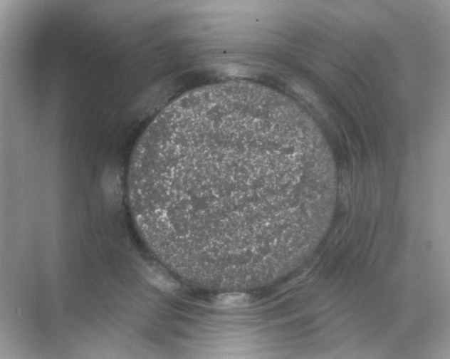 X0000068280410200605121917