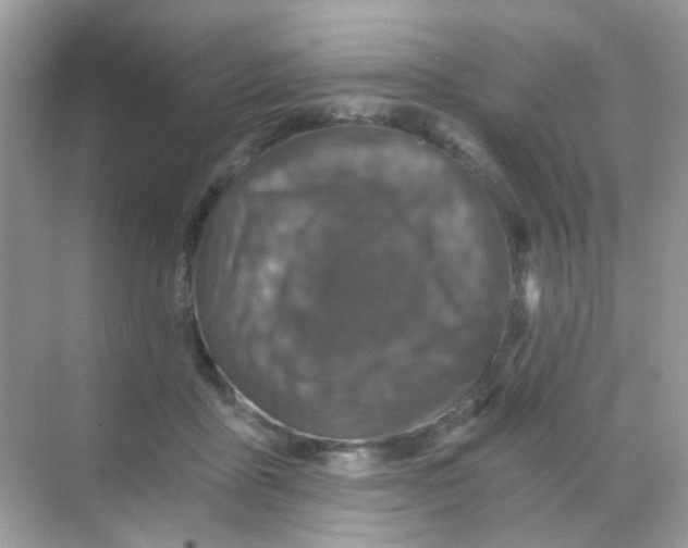 X0000068280411200605121917