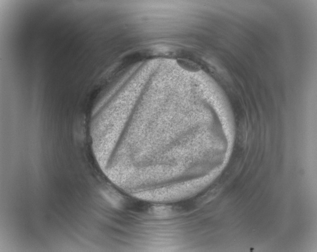 X0000068280413200605121917