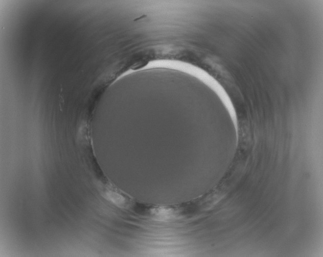 X0000068280419200605121917