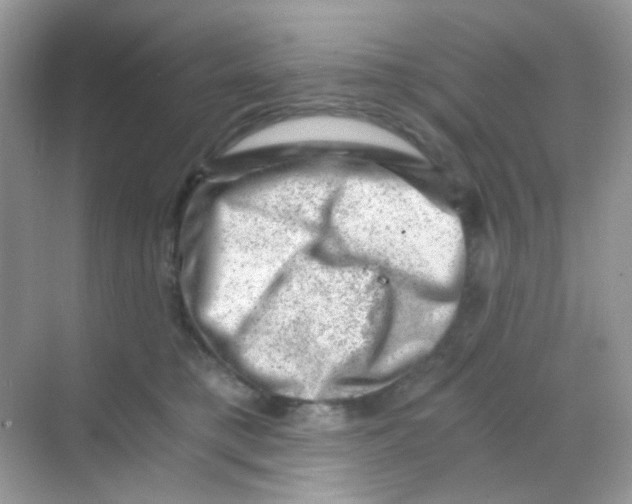 X0000068280421200605121917