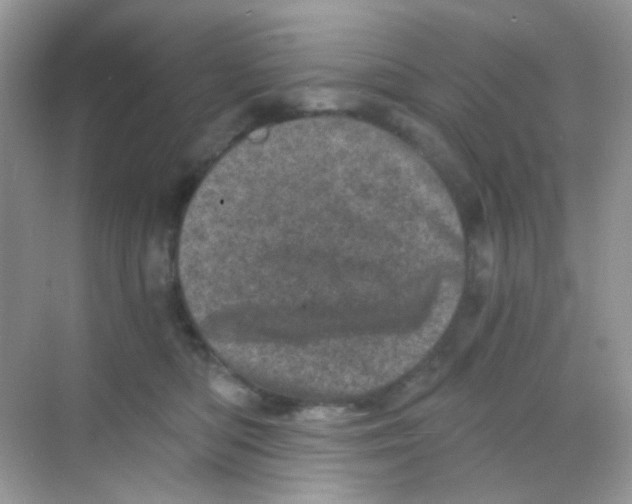 X0000068280422200605121917