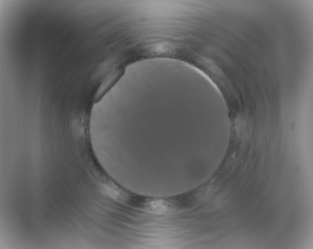 X0000068280423200605121917