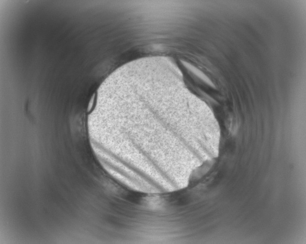 X0000068280425200605121917