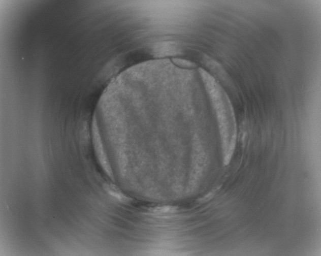 X0000068280426200605121917