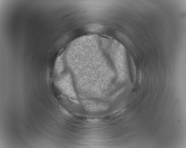 X0000068280428200605121917