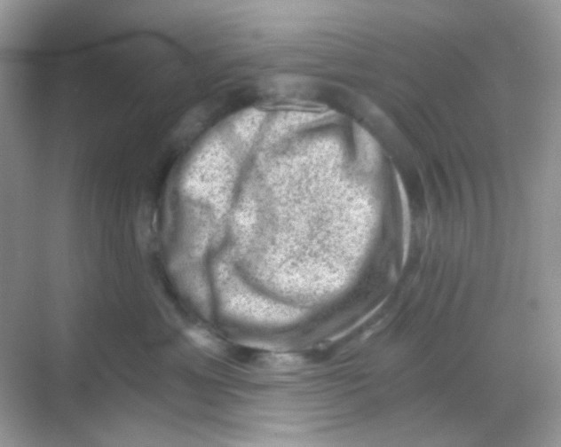 X0000068280429200605121917