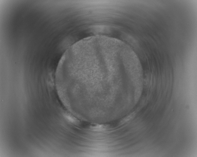 X0000068280430200605121917