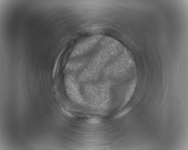 X0000068280432200605121917