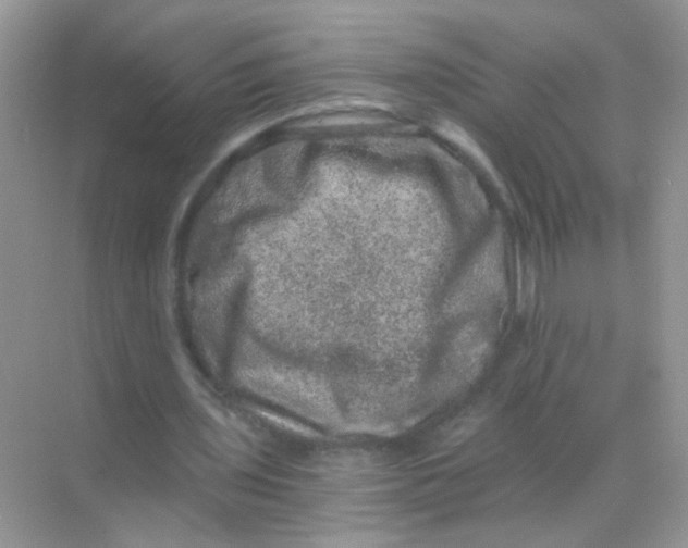 X0000068280435200605121916