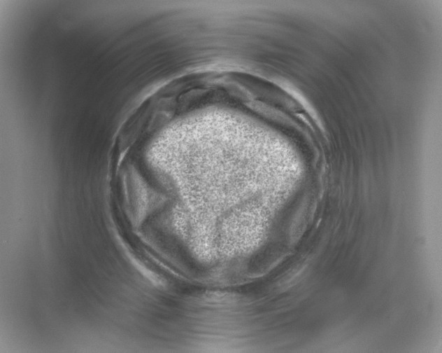 X0000068280437200605121916