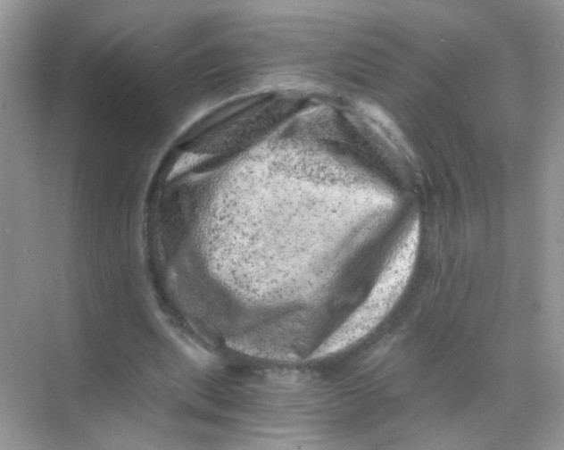 X0000068280439200605121916