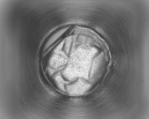 X0000068280440200605121916