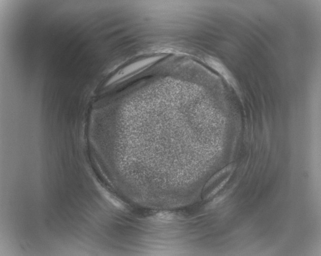 X0000068280441200605121916