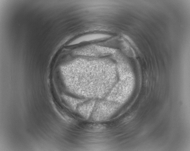 X0000068280443200605121916